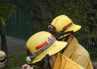 Training- (19)